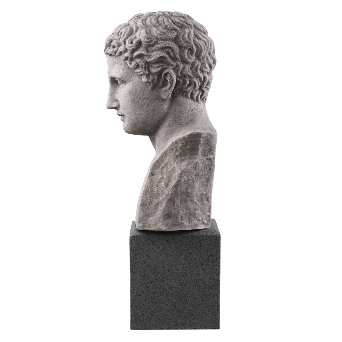 Eichholtz Dekoobjekt Büste Roman Imperial Eichholtz TM0080