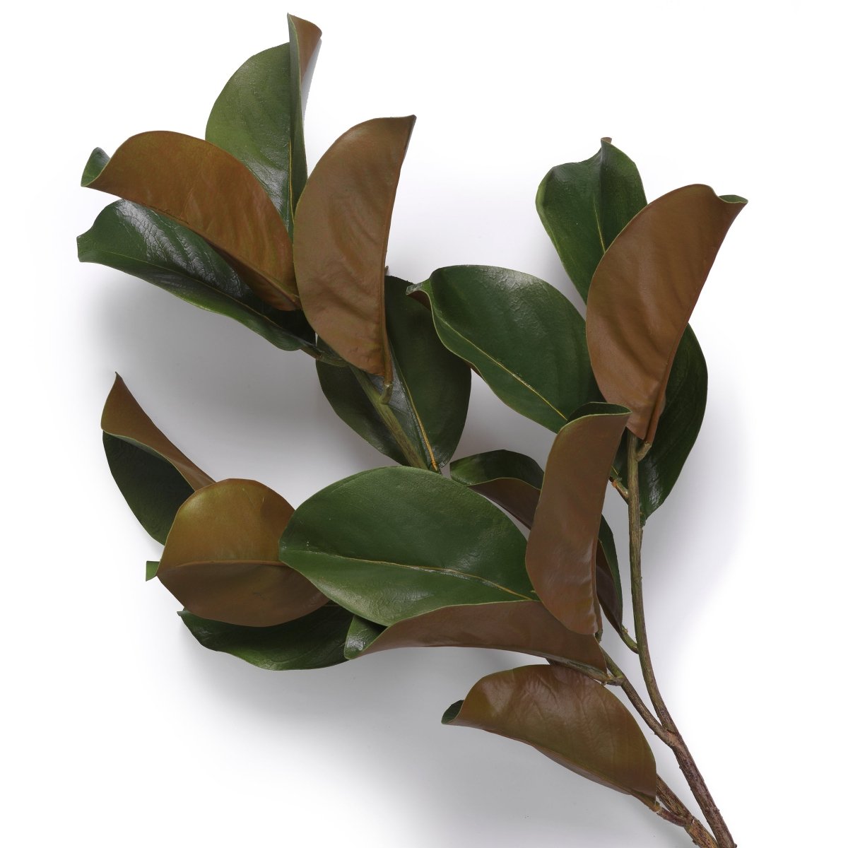 Eichholtz Kunstbündel Magnolia Eichholtz 119289