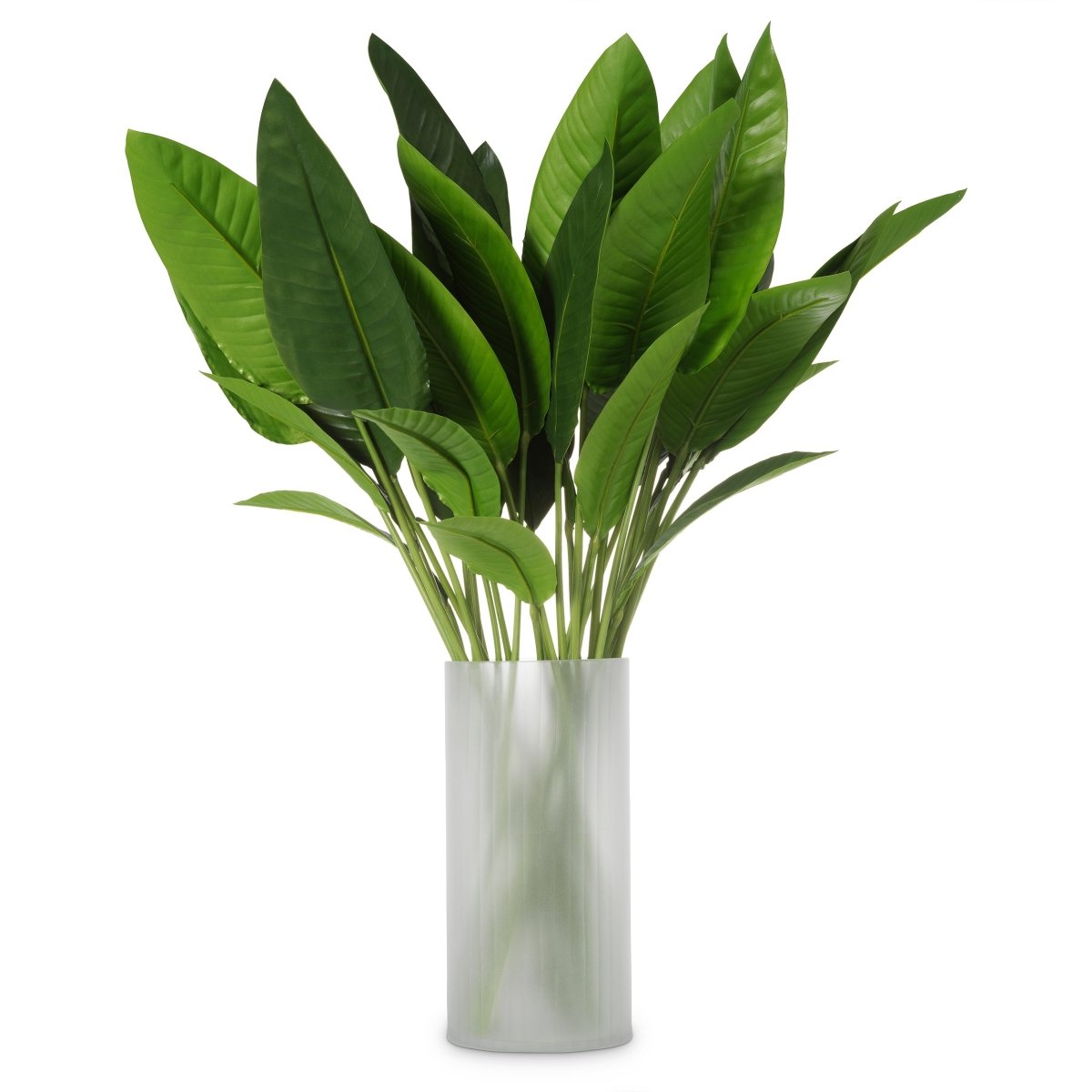 Eichholtz Kunstbündel Strelitzia Eichholtz 119287