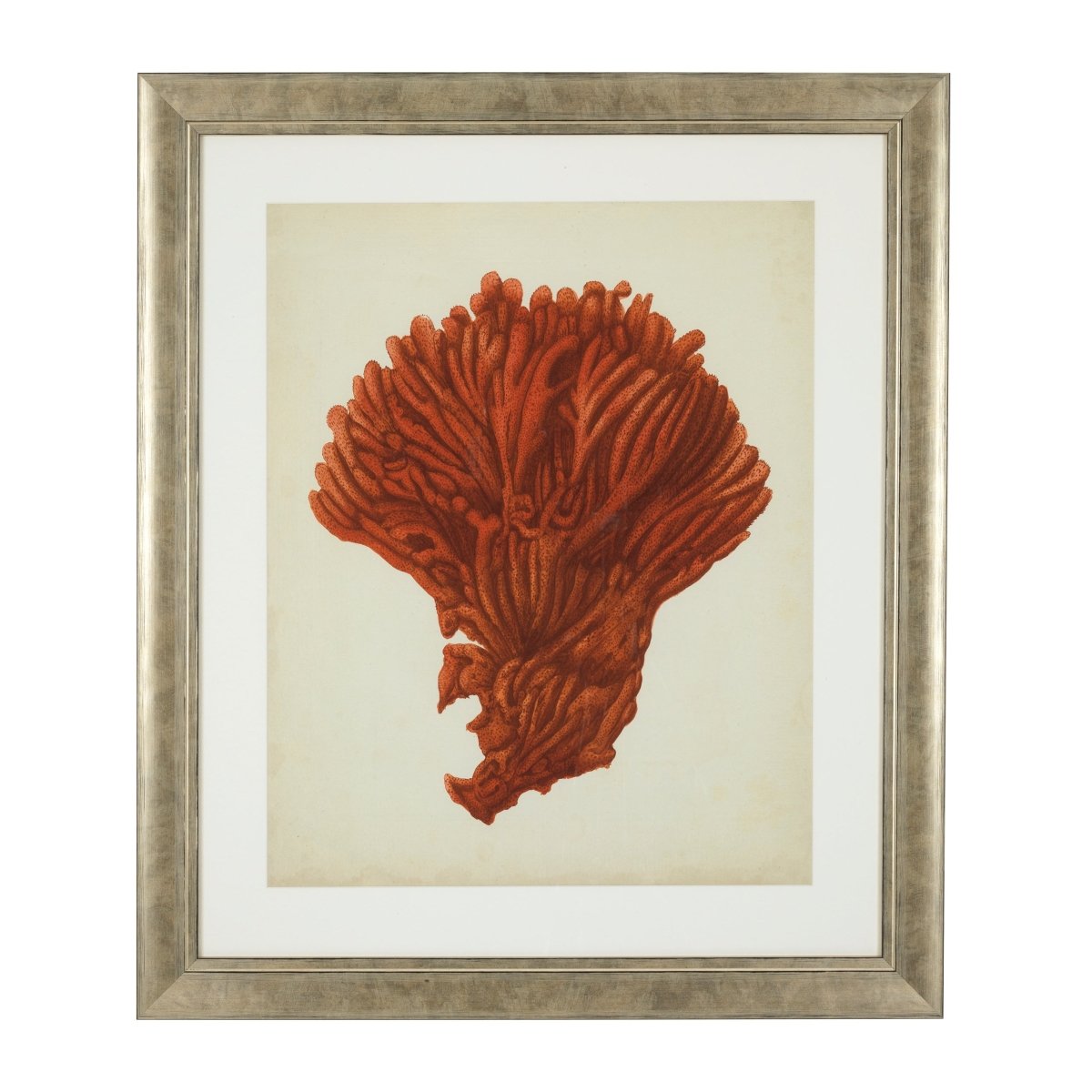 Eichholtz Kunstdrucke Antique red corals Eichholtz 111741