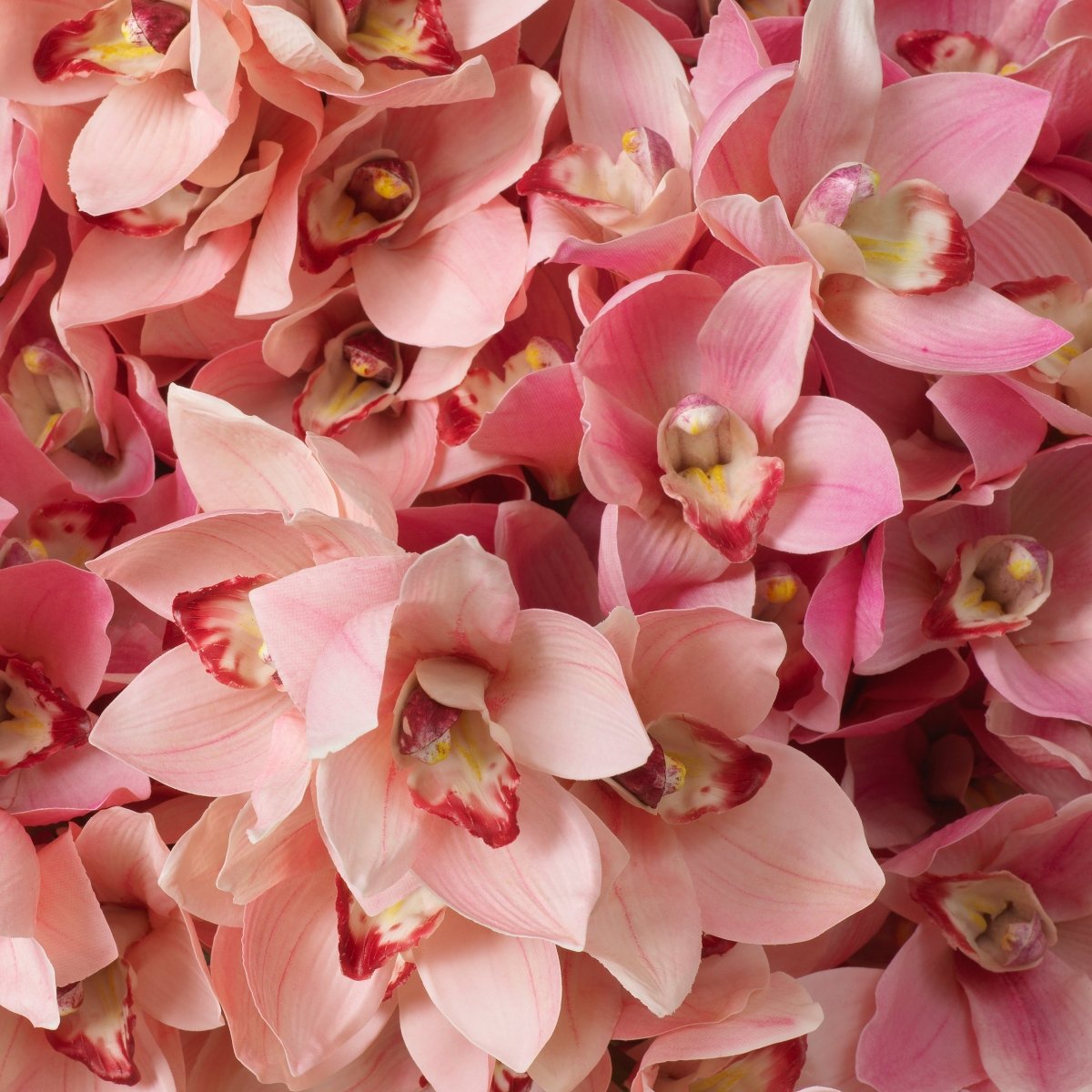 Eichholtz Kunststrauss Cymbidium Orchids Eichholtz 119282