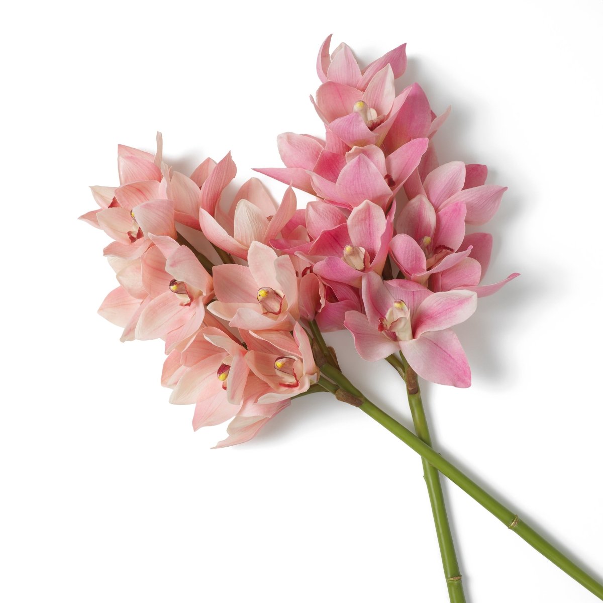Eichholtz Kunststrauss Cymbidium Orchids Eichholtz 119282