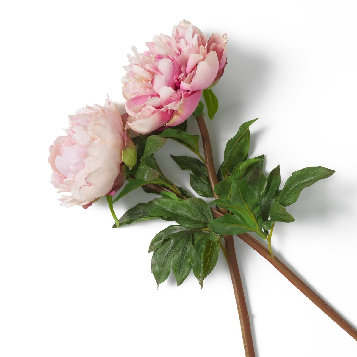 Eichholtz Kunststrauss Peonies Eichholtz 119278