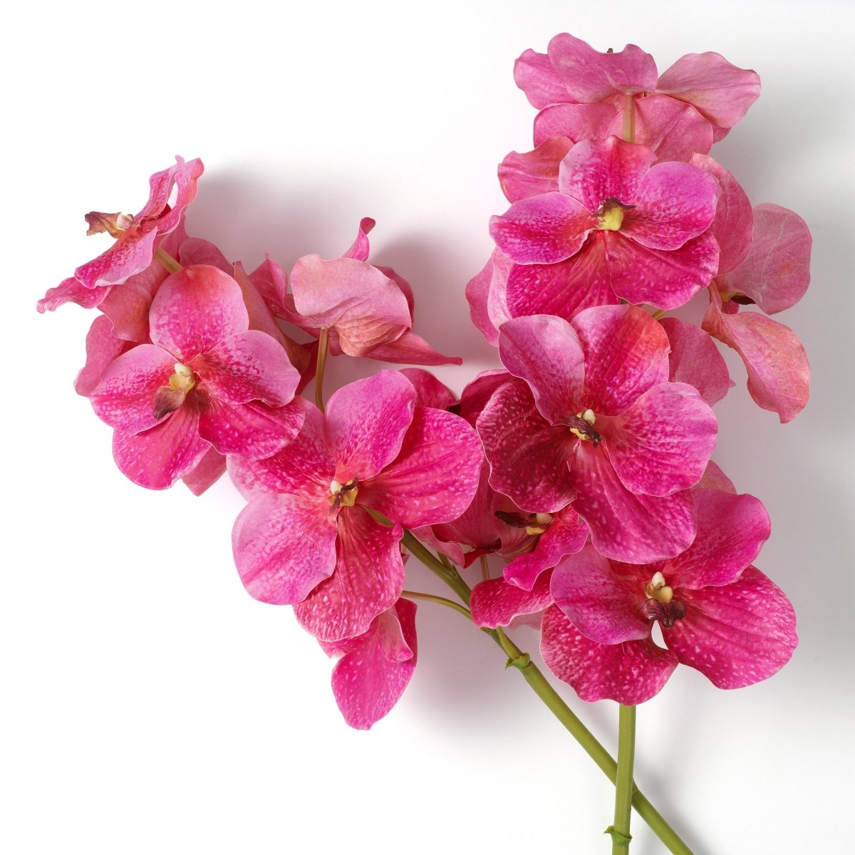 Eichholtz Kunststrauss Vanda Orchids Eichholtz 119284