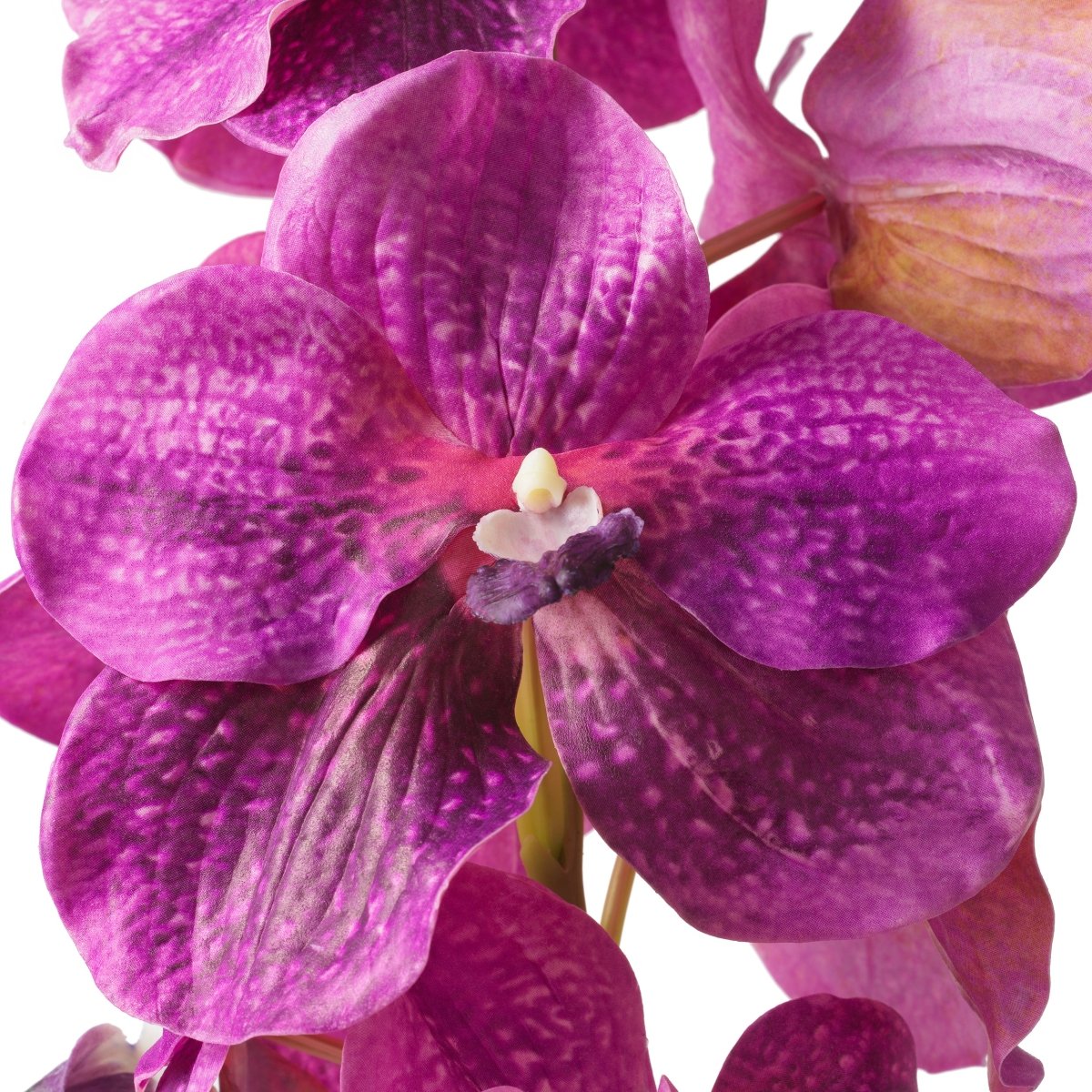 Eichholtz Kunststrauss Vanda Orchids Eichholtz 119285