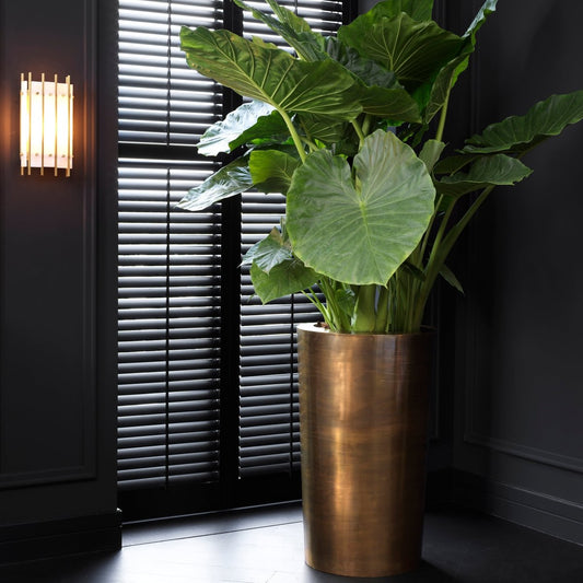 Eichholtz Pflanzentopf Maddox Eichholtz 116845