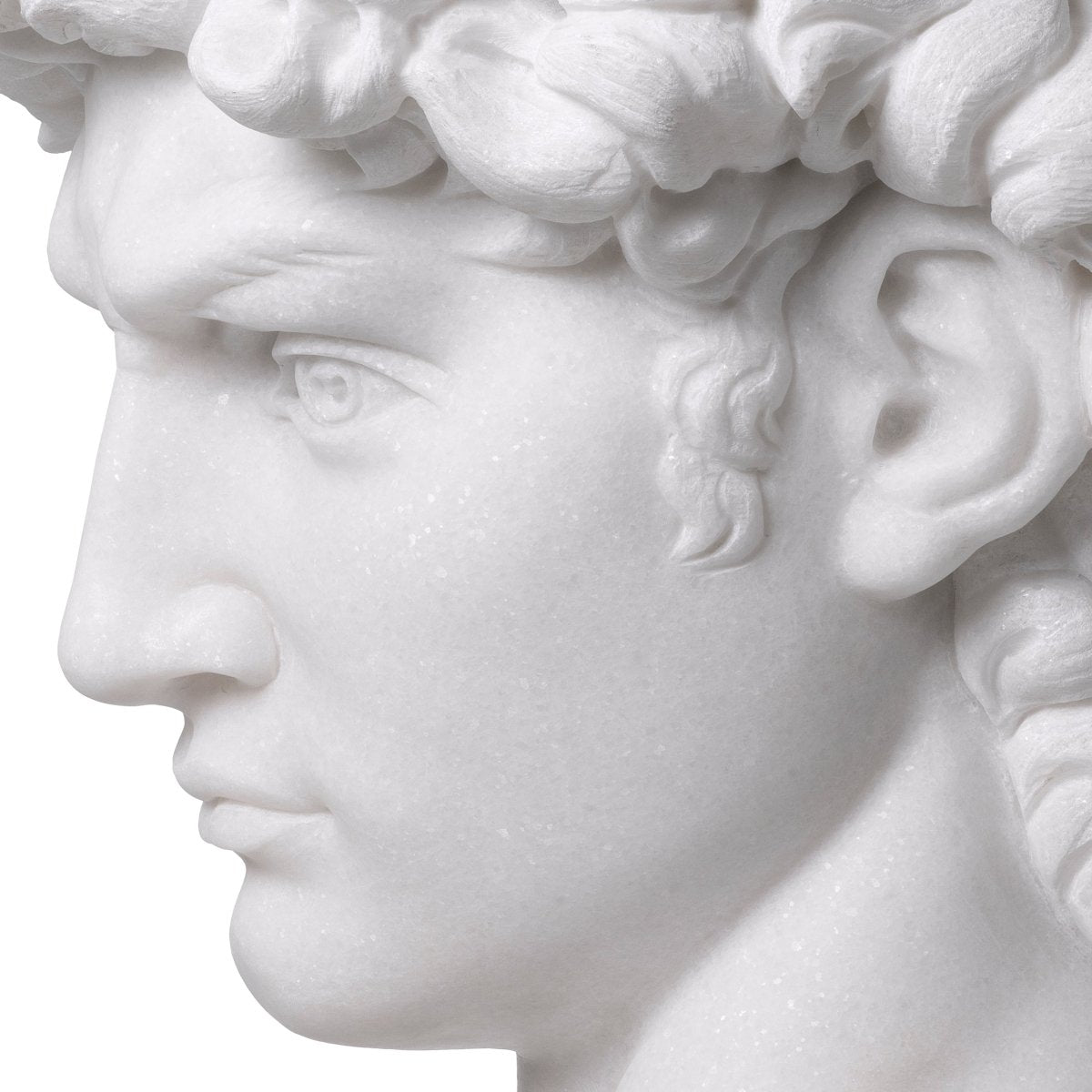 Eichholtz Statute Head David Eichholtz 117079