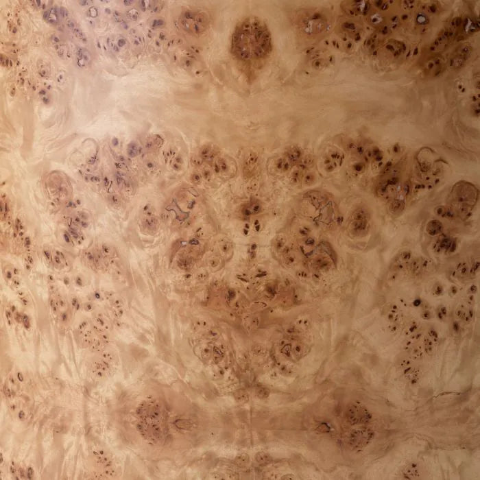 Eichholtz Sessel Arcadia