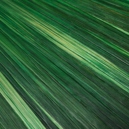 Eichholtz Dekoobjekt Box Harvard Eichholtz 118914