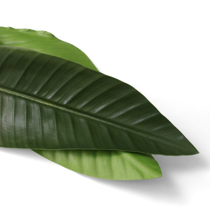 Eichholtz Kunstbündel Strelitzia Eichholtz 119287