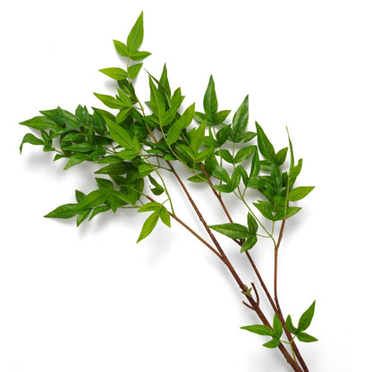 Eichholtz Kunstbündel Tender Eichholtz 119288