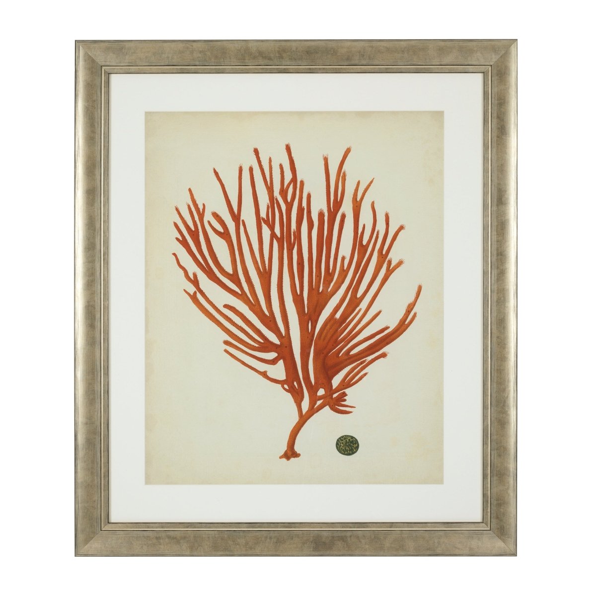 Eichholtz Kunstdrucke Antique red corals Eichholtz 111741