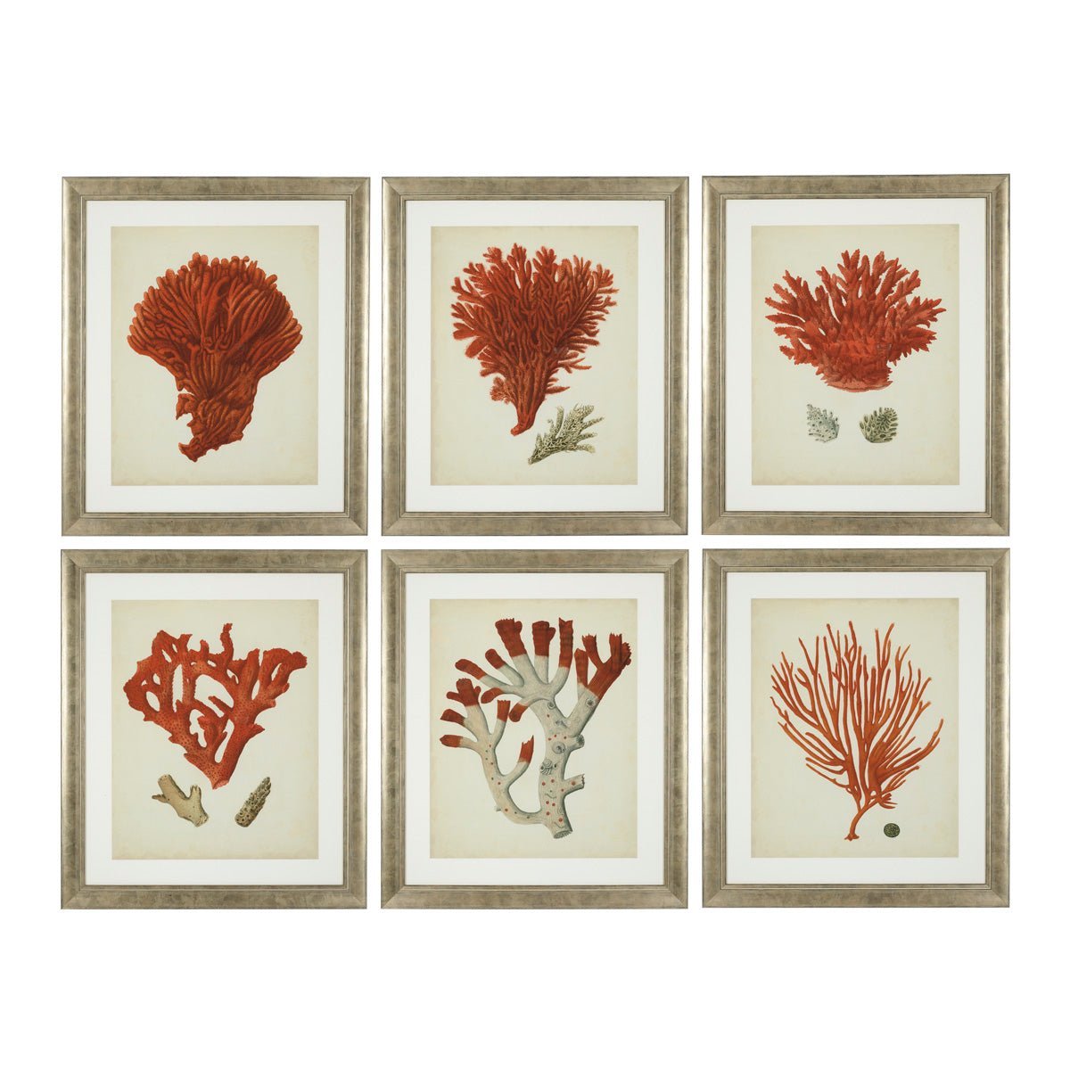 Eichholtz Kunstdrucke Antique red corals Eichholtz 111741