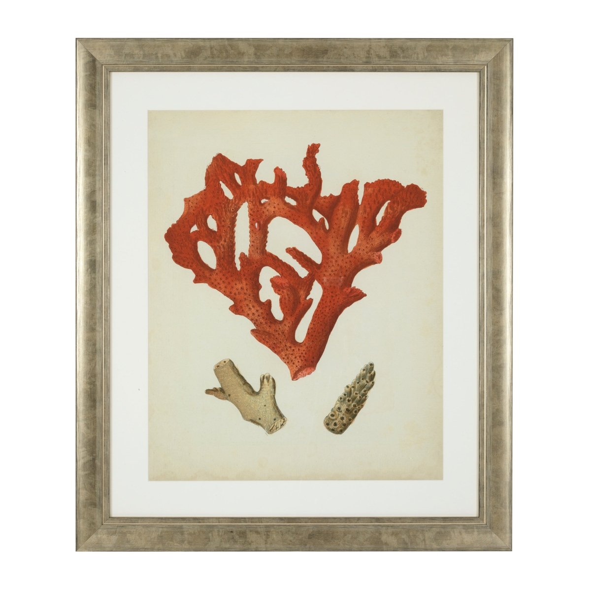Eichholtz Kunstdrucke Antique red corals Eichholtz 111741