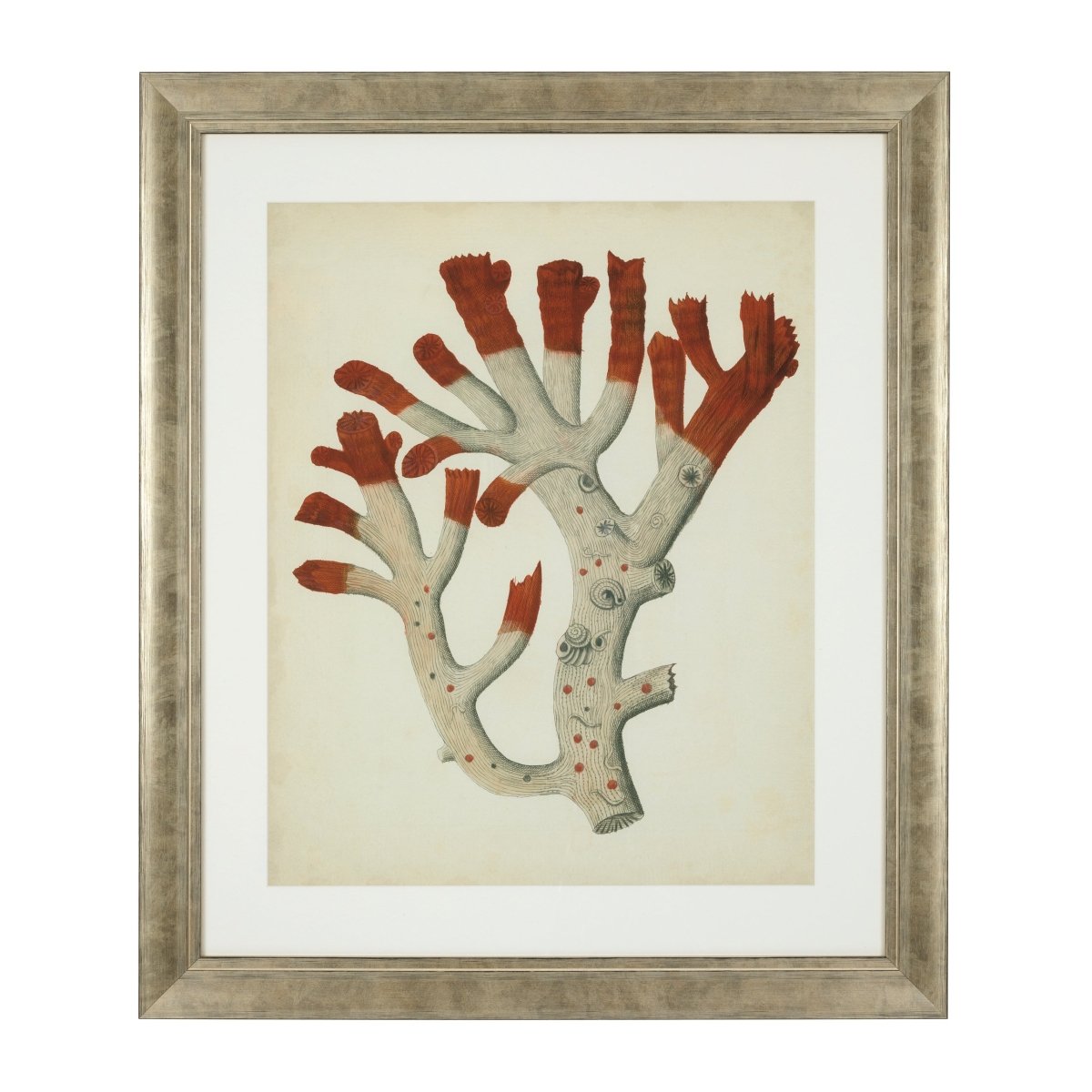Eichholtz Kunstdrucke Antique red corals Eichholtz 111741