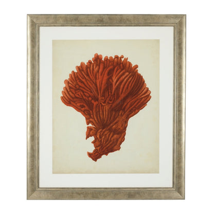 Eichholtz Kunstdrucke Antique red corals Eichholtz 111741