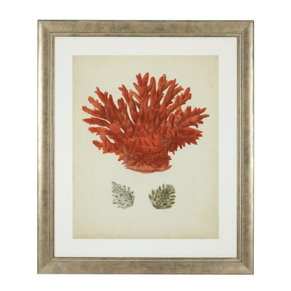 Eichholtz Kunstdrucke Antique red corals Eichholtz 111741