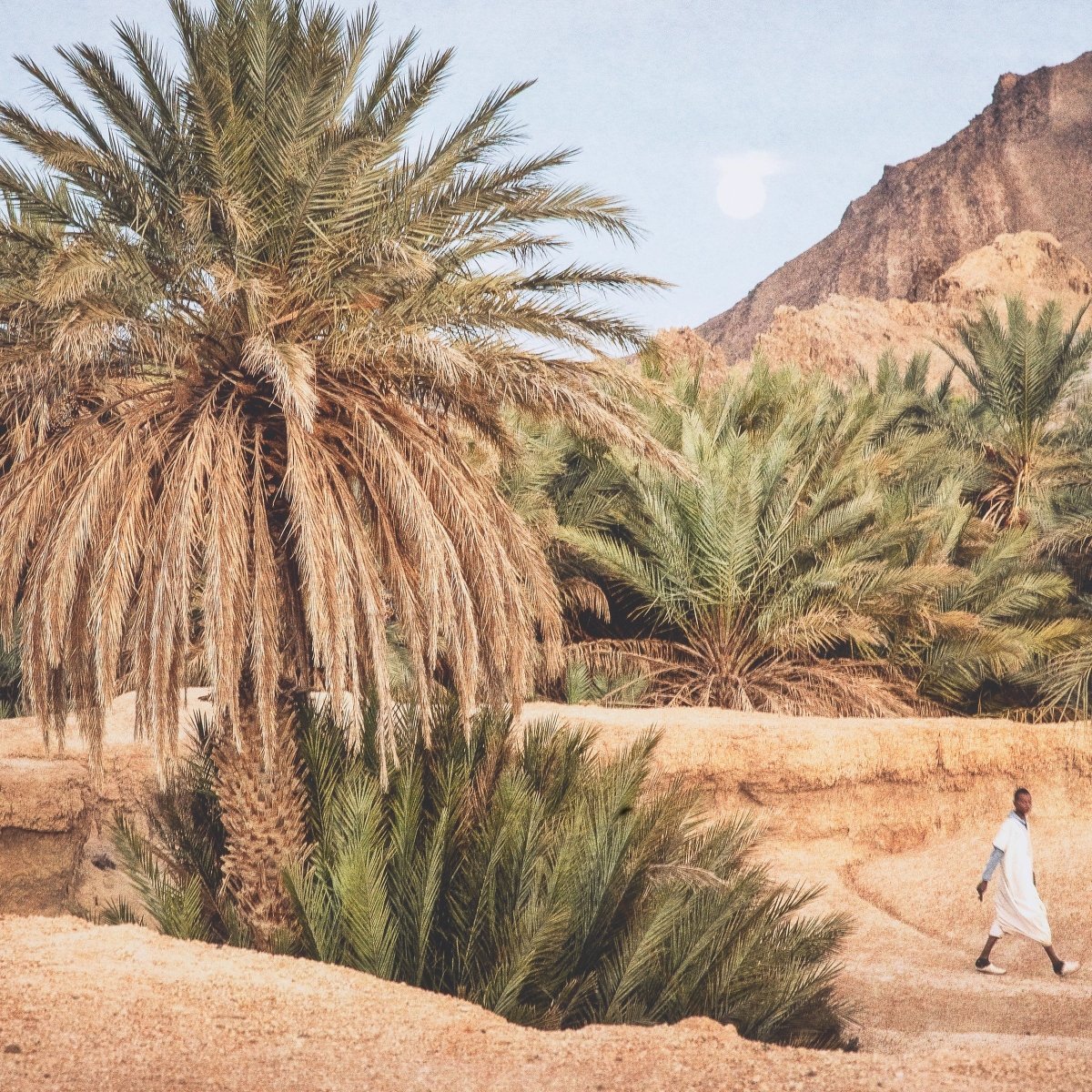 Eichholtz Kunstdrucke Marta Rossignol - Moroccan Oasis Eichholtz 118557