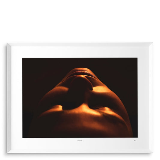 Eichholtz Kunstdrucke Philippe Vogelenzang - Dawn Eichholtz 119932