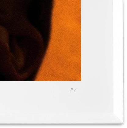 Eichholtz Kunstdrucke Philippe Vogelenzang - Vitamin oral Eichholtz 119933