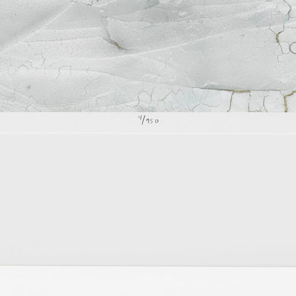 Eichholtz Kunstdrucke Rift Valley by Vanna Lam Eichholtz 119750