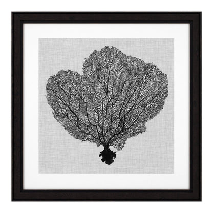 Eichholtz Kunstdrucke Shadow Sea Fans Eichholtz 112752