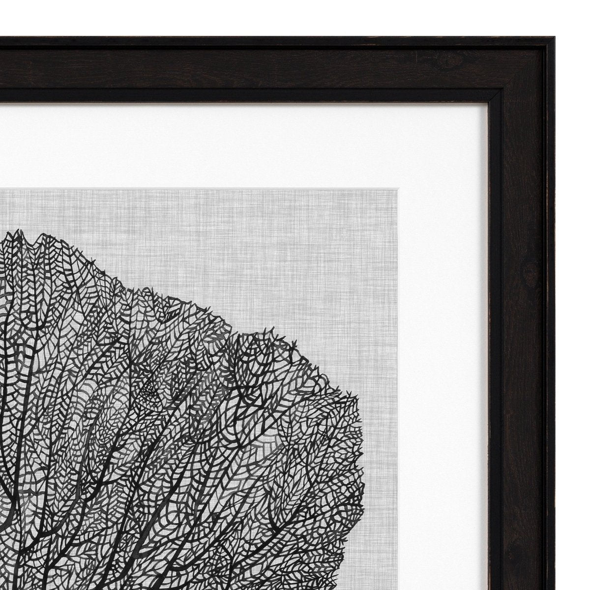 Eichholtz Kunstdrucke Shadow Sea Fans Eichholtz 112752