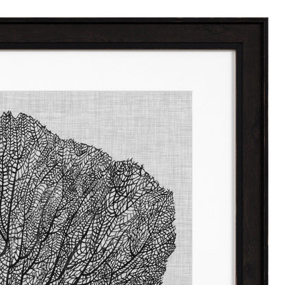 Eichholtz Kunstdrucke Shadow Sea Fans Eichholtz 112752