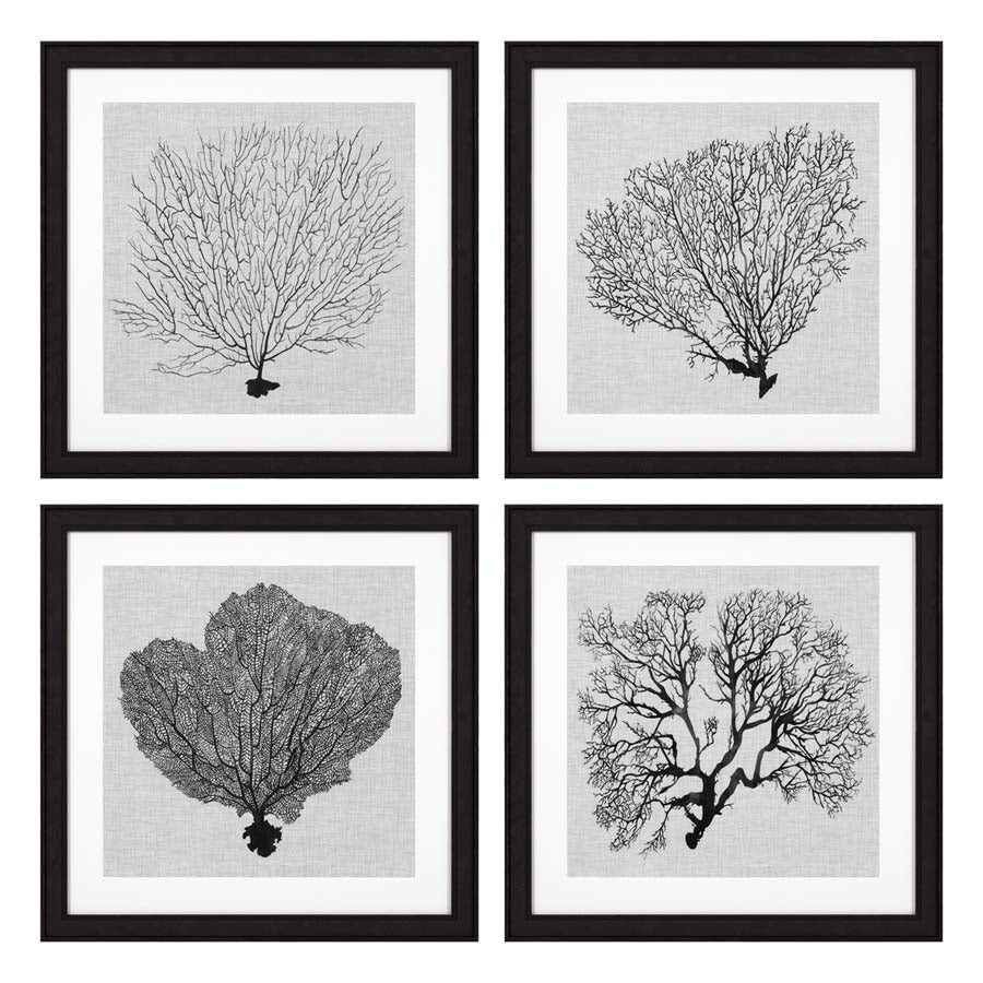 Eichholtz Kunstdrucke Shadow Sea Fans Eichholtz 112752