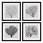 Eichholtz Kunstdrucke Shadow Sea Fans Eichholtz 112752