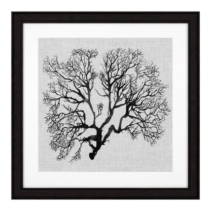 Eichholtz Kunstdrucke Shadow Sea Fans Eichholtz 112752