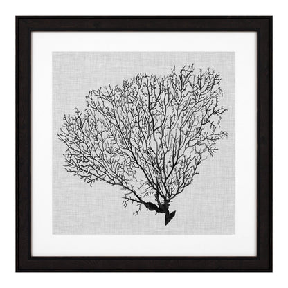 Eichholtz Kunstdrucke Shadow Sea Fans Eichholtz 112752