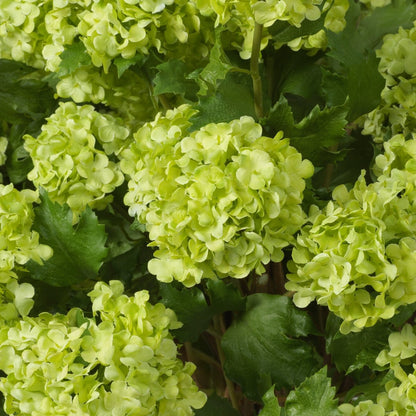 Eichholtz Kunststrauss Hydrangeas Eichholtz 119294