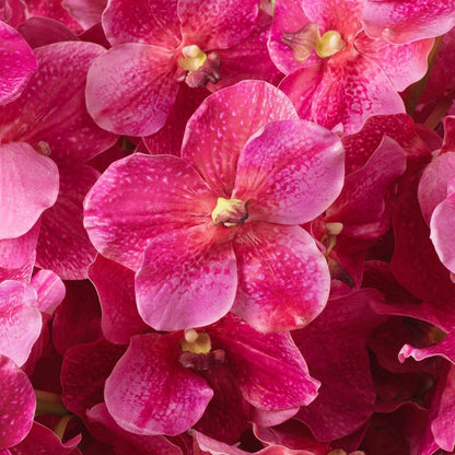 Eichholtz Kunststrauss Vanda Orchids Eichholtz 119284