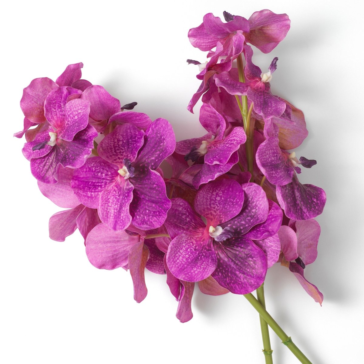 Eichholtz Kunststrauss Vanda Orchids Eichholtz 119285