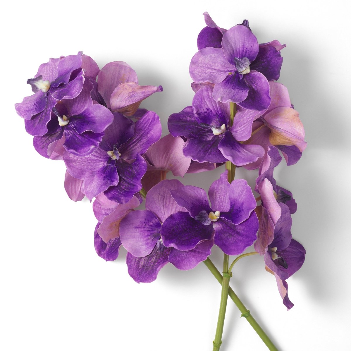 Eichholtz Kunststrauss Vanda Orchids Eichholtz 119286