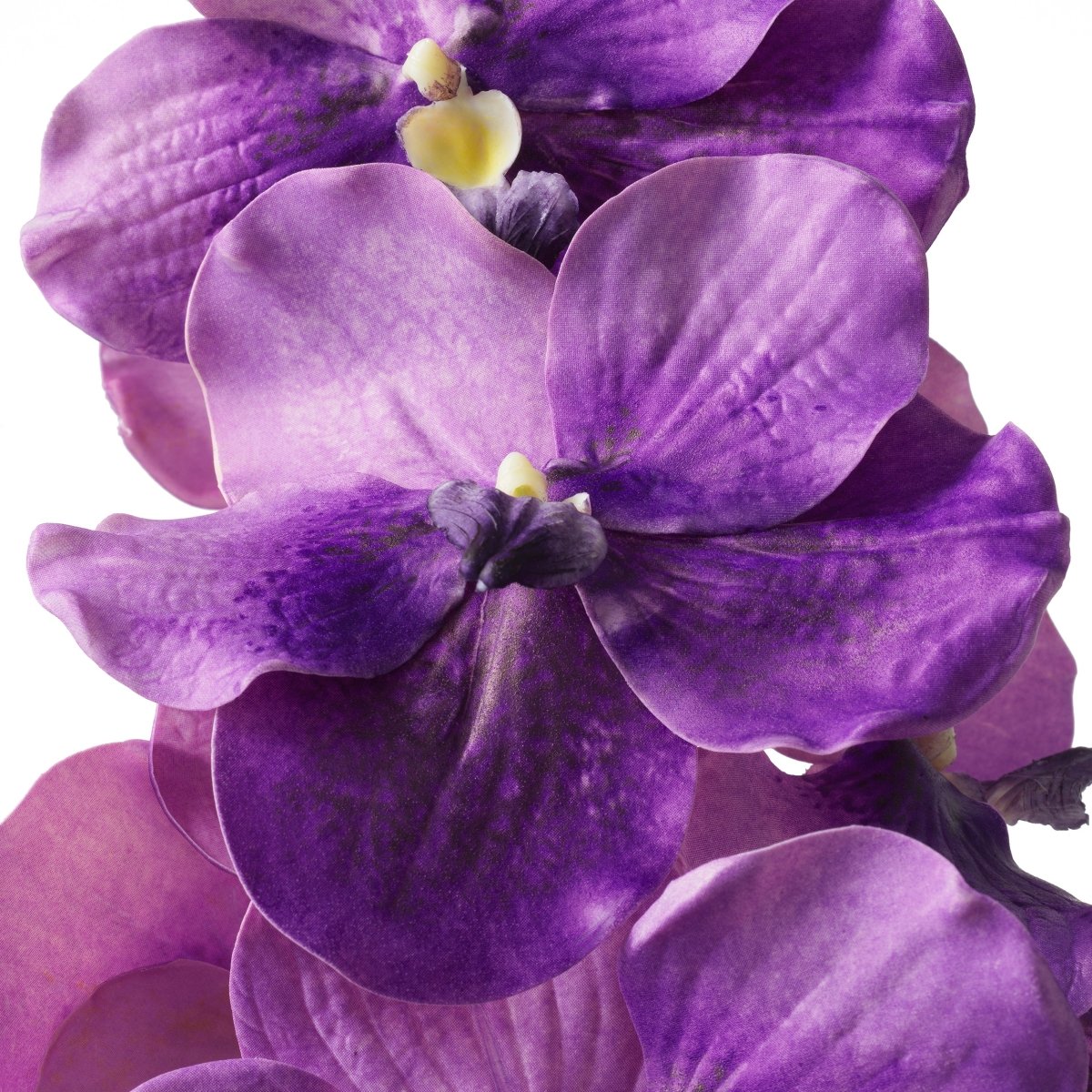 Eichholtz Kunststrauss Vanda Orchids Eichholtz 119286