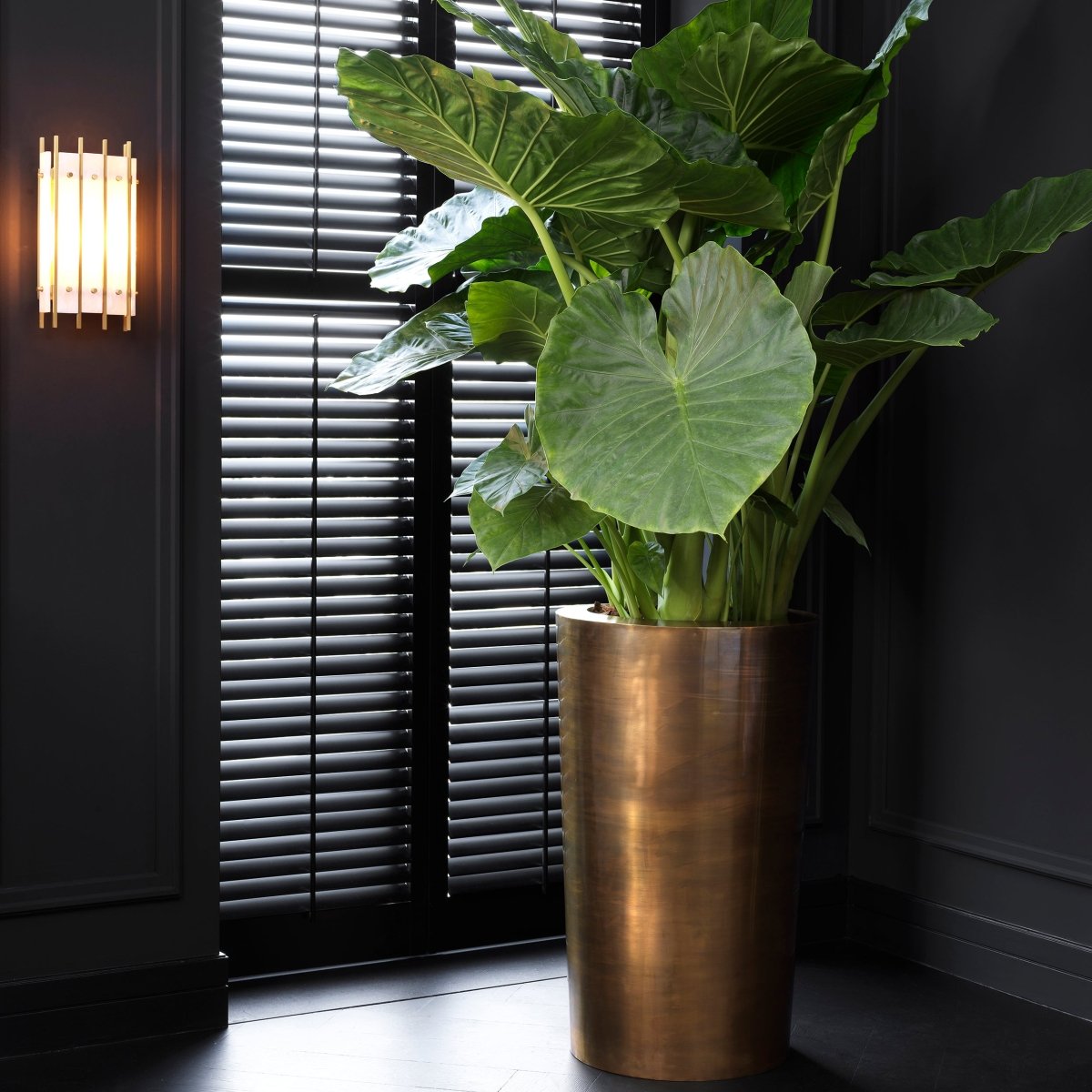 Eichholtz Pflanzentopf Maddox Eichholtz 116845