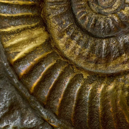 Eichholtz Tischleuchte Kamari Eichholtz 120083