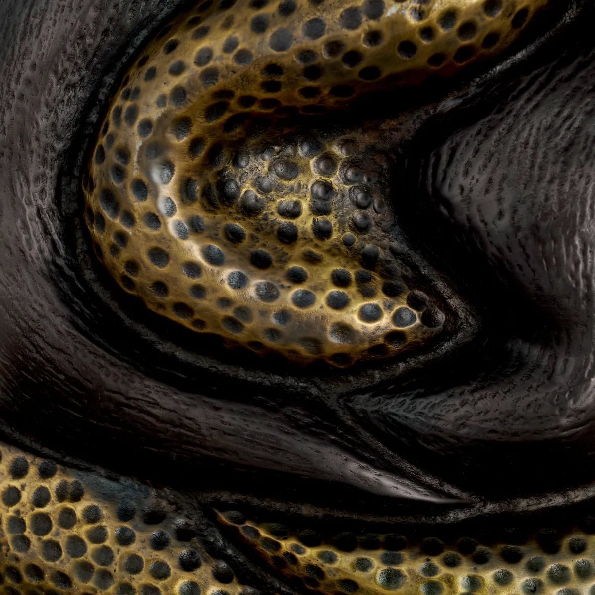 Eichholtz Wandleuchte Nuno Eichholtz 118770