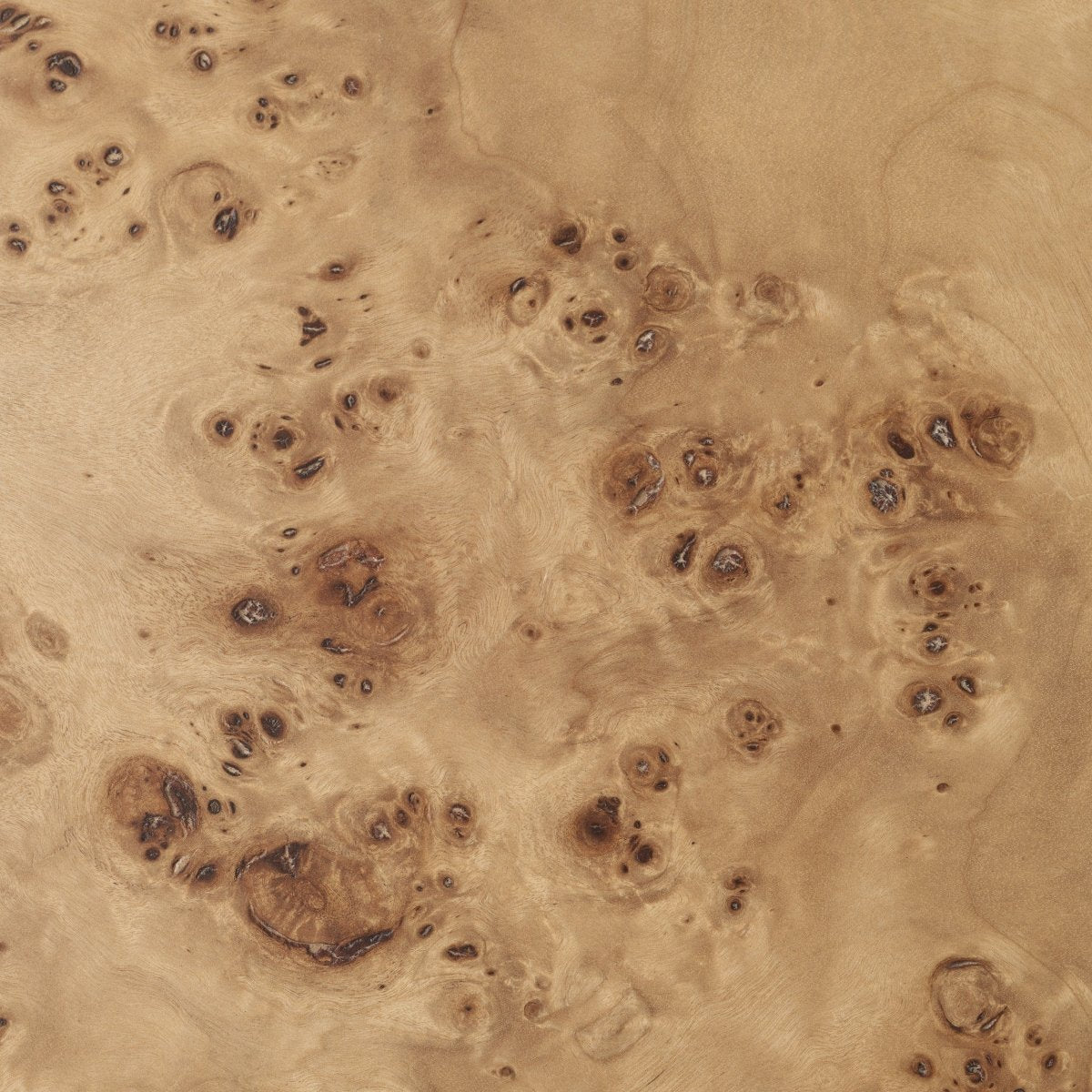 Eichholtz Wandregal Quinton Eichholtz 119328